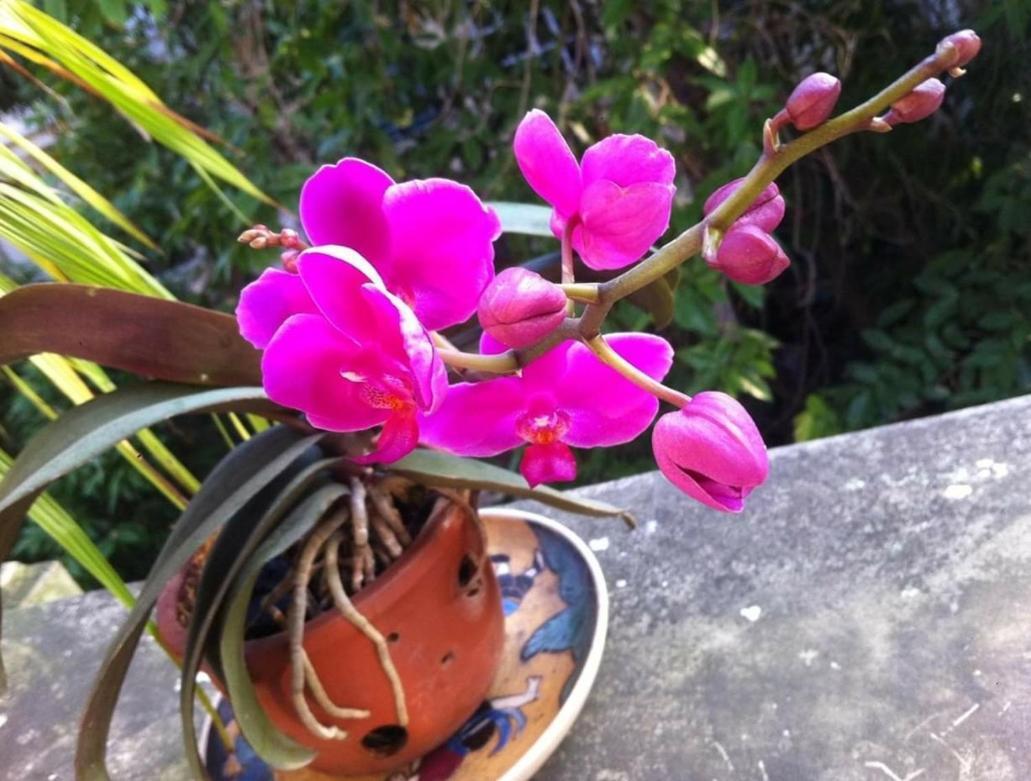 De Studio Homestay ฮานอย ภายนอก รูปภาพ
